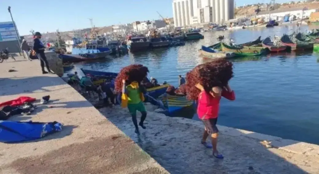 مندوبية الصيد البحري بآسفي تمدّد فترة جمع الطحالب حتّى هذا التاريخ