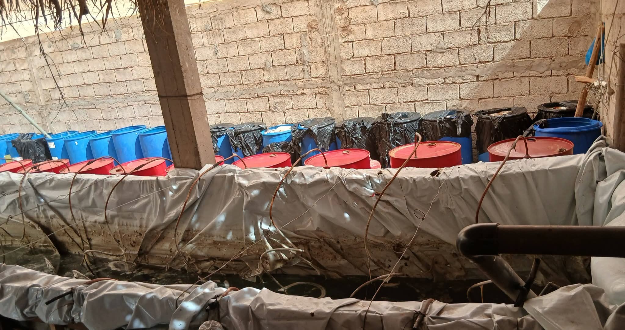 مداهمة معمل تسفر عن حجز 20 طنا من “الماحيا”